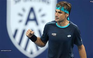 David Ferrer